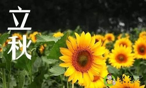 详细阅读:大暑热还是立秋热 大暑热还是立秋热