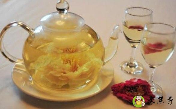 详细阅读:什么花可以泡茶喝 什么花可以泡茶喝