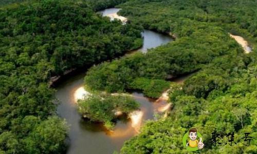 详细阅读:亚马逊热带雨林在哪里 亚马逊热带雨林在哪里