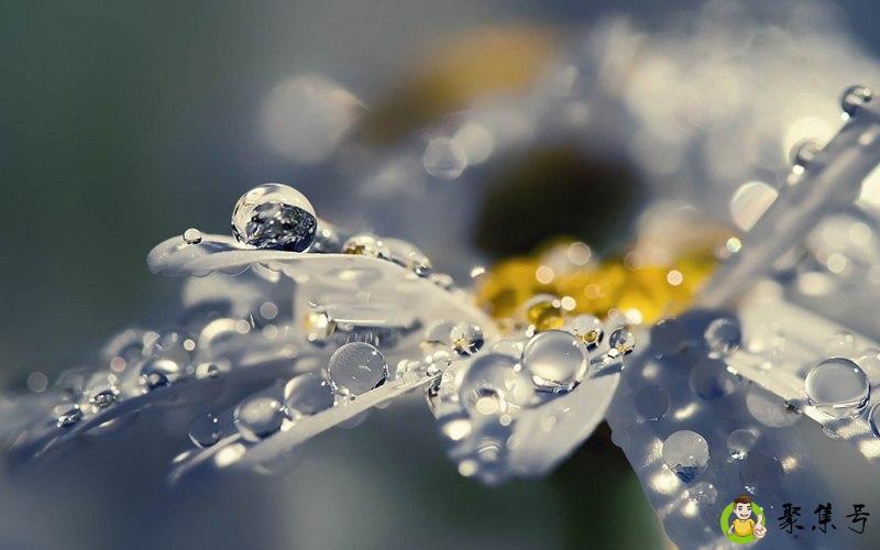 憨批是什么意思哦