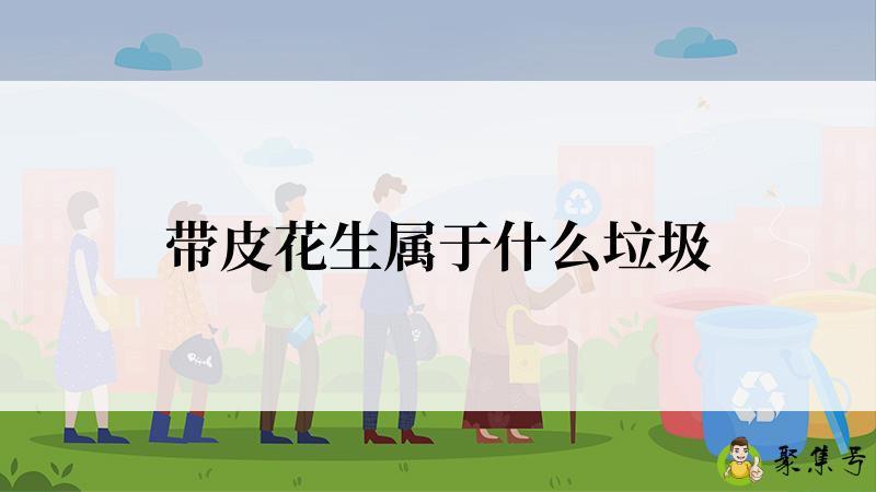 带皮花生属于什么垃圾