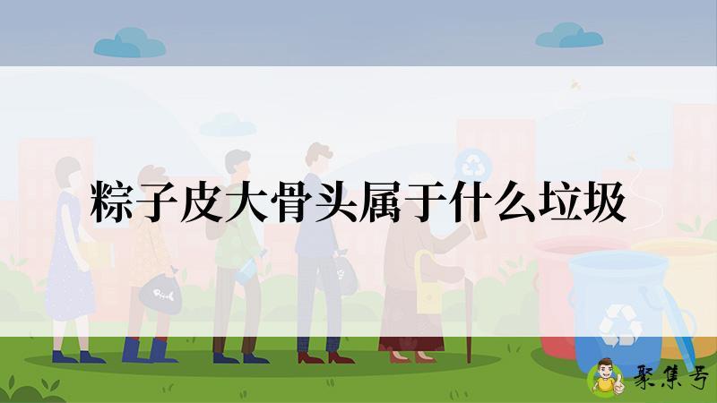 粽子皮大骨头属于什么垃圾