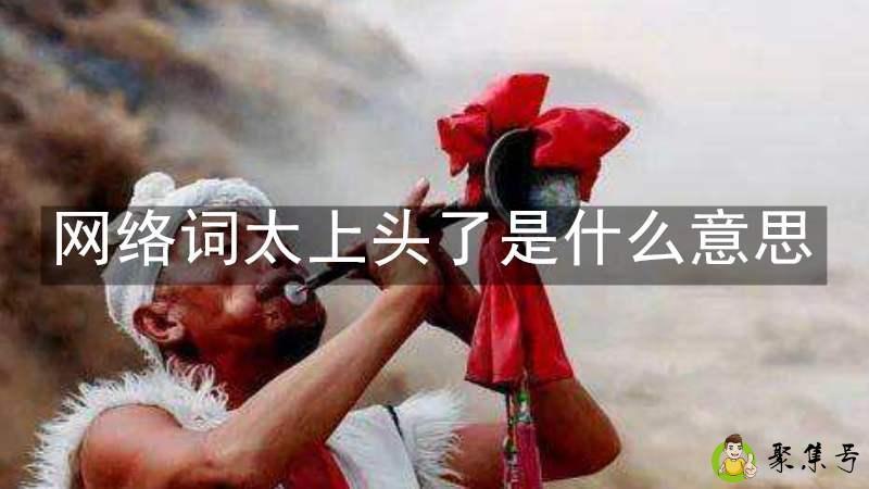 网络词太上头了是什么意思