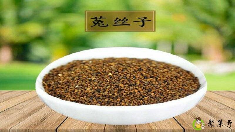 详细阅读:莬丝子怎么泡茶 莬丝子怎么泡茶