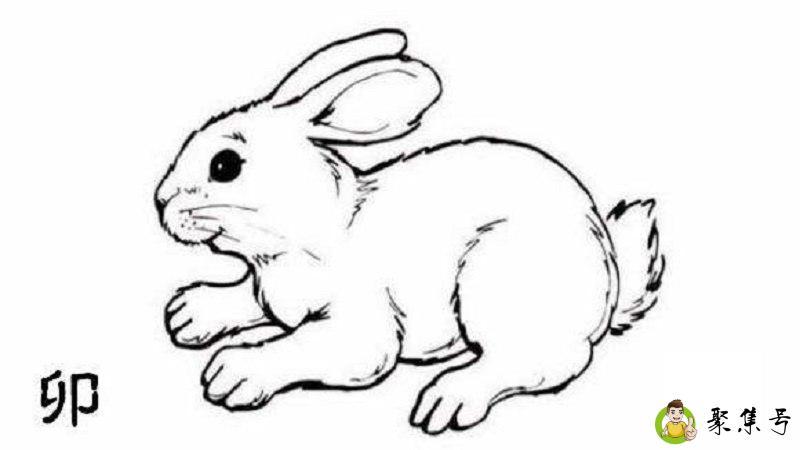 详细阅读:雨鞋代表什么生肖 雨鞋代表什么生肖