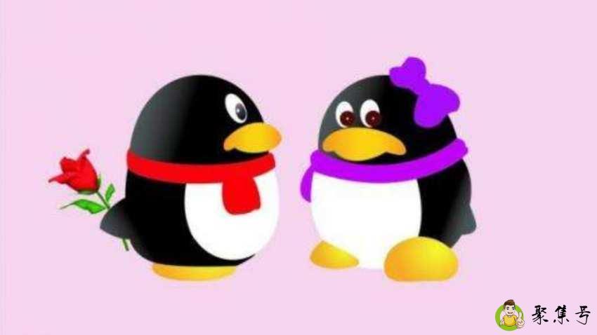 cqy什么意思网络用语