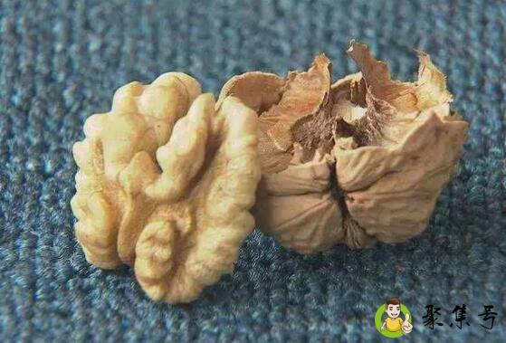 核桃皮是什么垃圾
