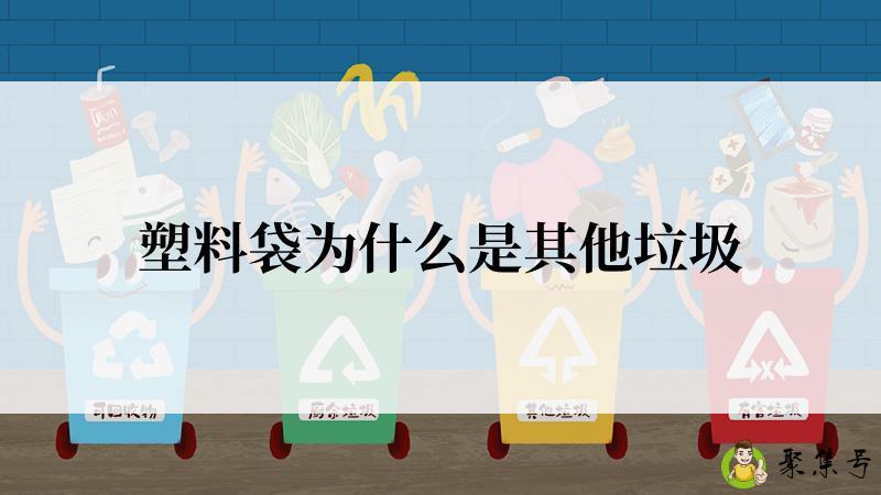 塑料袋为什么是其他垃圾