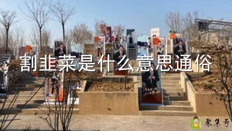 割韭菜是什么意思通俗