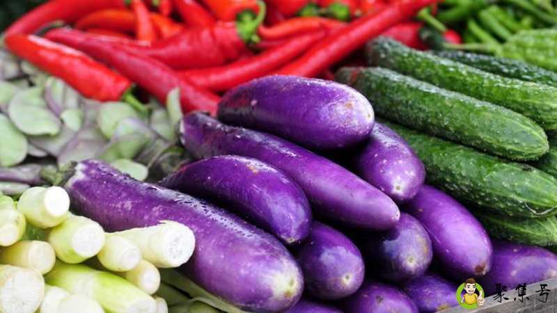 茄子属于碳水还是蔬菜