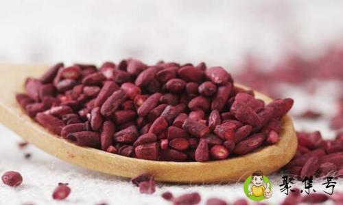 红曲米和红曲粉的区别是什么