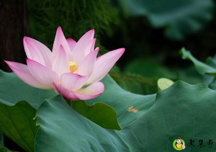 夏至阴生是什么意思