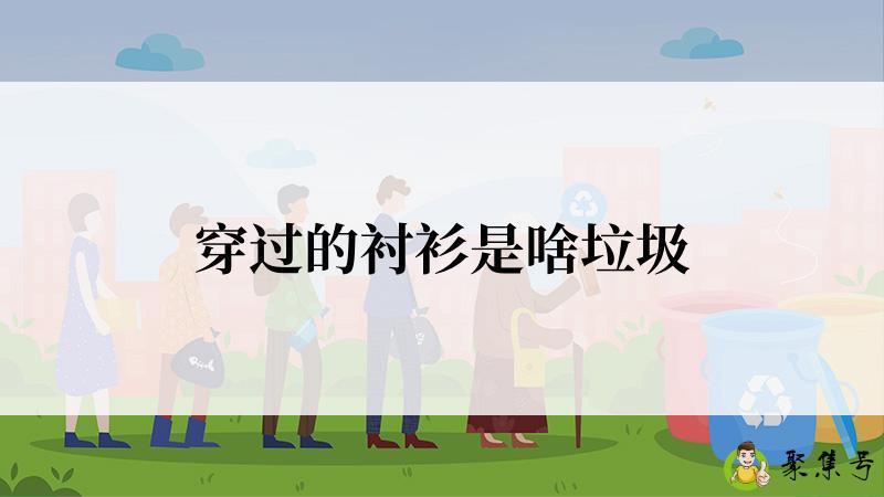 穿过的衬衫是啥垃圾