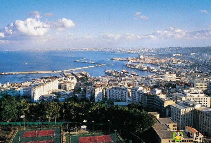 阿尔及利亚是哪个洲