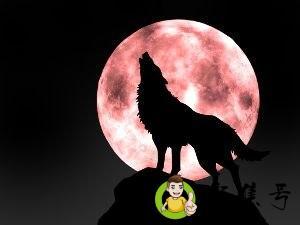 详细阅读:wolf的复数 wolf的复数