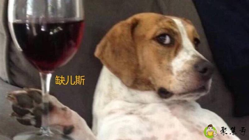 详细阅读:缺儿斯啥意思 缺儿斯啥意思