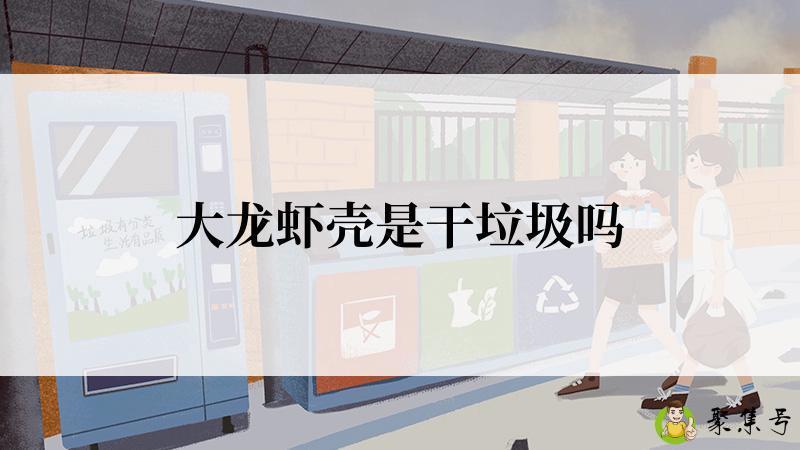 大龙虾壳是干垃圾吗