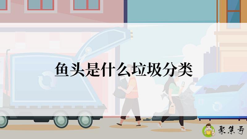 鱼头是什么垃圾分类
