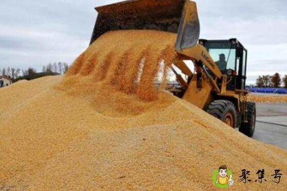 粮食怎么长期储存