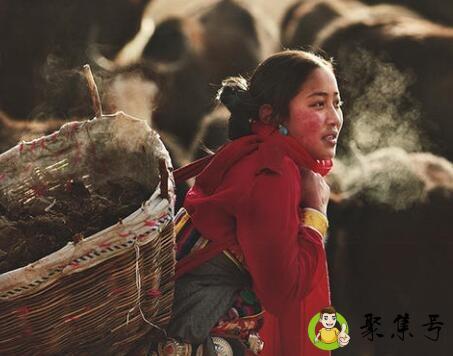 卓玛和扎西是什么意思