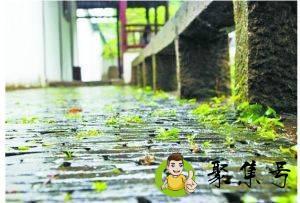 详细阅读:长江中下游梅雨季节是什么时间 长江中下游梅雨季节是什么时间