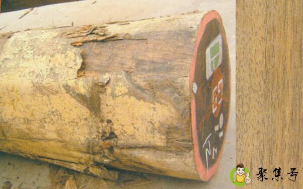 详细阅读:爱里古夷苏木是黑檀吗 爱里古夷苏木是黑檀吗