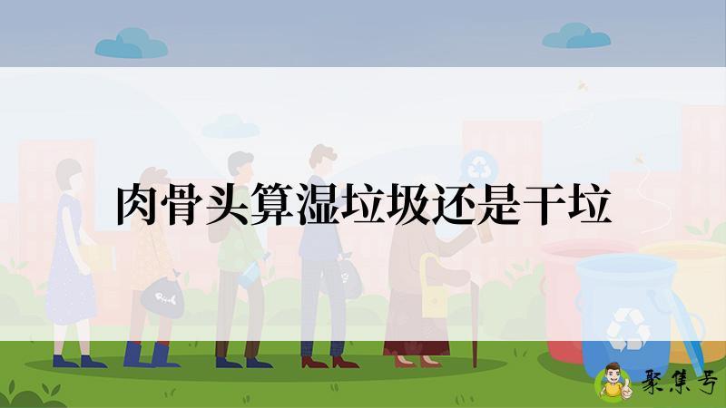 肉骨头算湿垃圾还是干垃