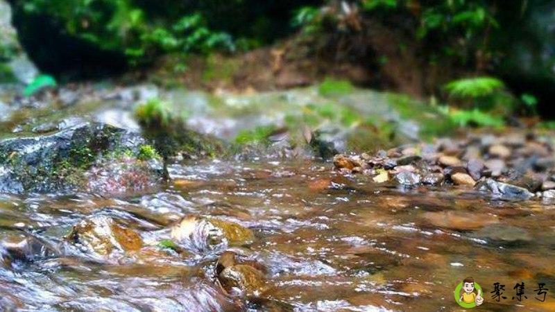 长青苔的水烧开能喝吗