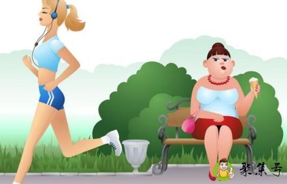 减肥为什么会反弹