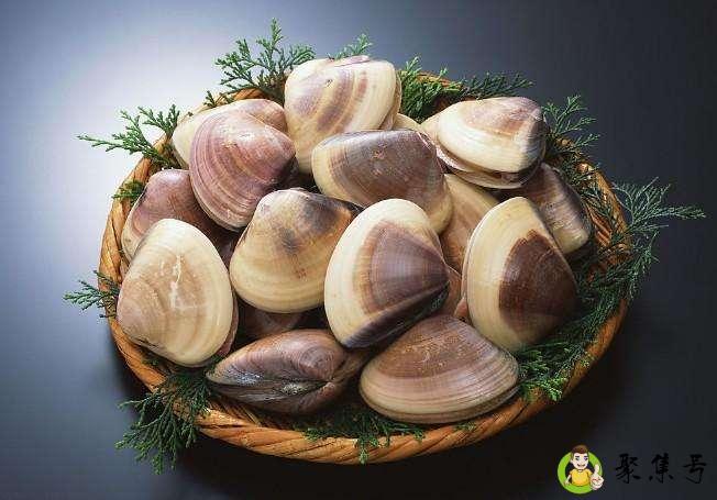 详细阅读:油蛤和花蛤的区别 油蛤和花蛤的区别