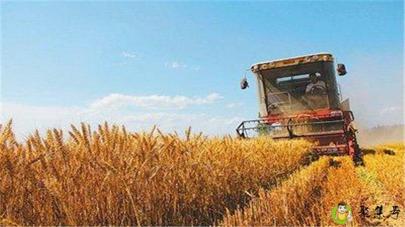 详细阅读:收获的反义词 收获的反义词