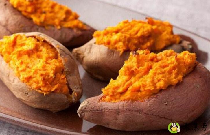 详细阅读:红薯催芽法 红薯催芽法