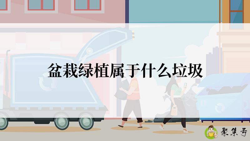 详细阅读:盆栽绿植属于什么垃圾 盆栽绿植属于什么垃圾