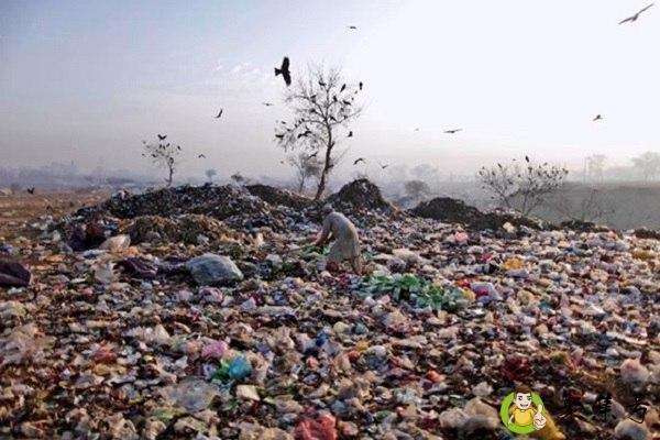 详细阅读:白色污染的危害 白色污染的危害