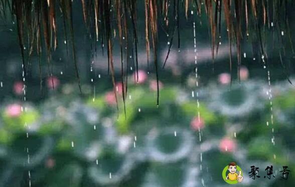 详细阅读:出霉日是什么意思 出霉日是什么意思