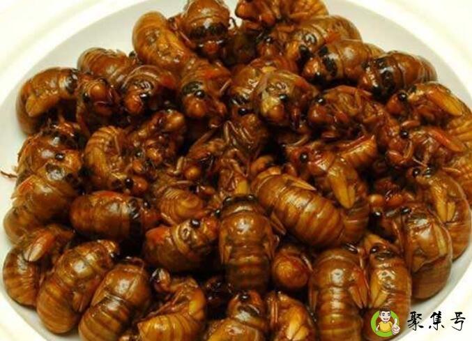 爬叉是什么东西