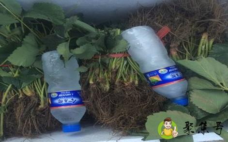 详细阅读:氯化苦是什么东西 氯化苦是什么东西