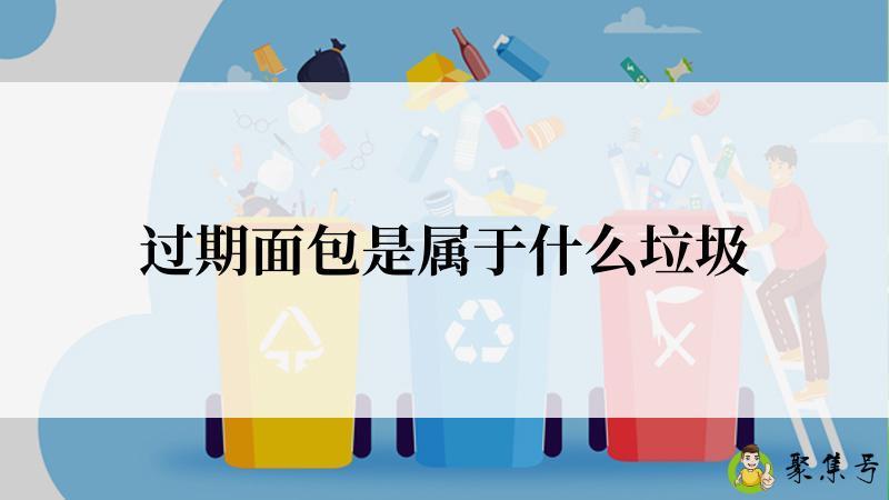 过期面包是属于什么垃圾