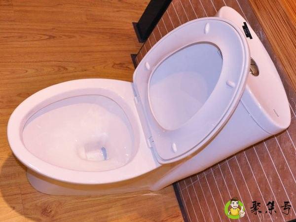 详细阅读:通马桶的叫什么 通马桶的叫什么