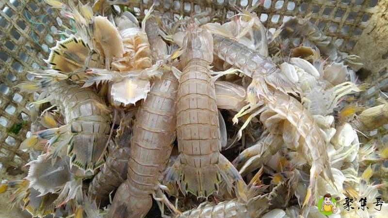 详细阅读:超市如何挑选冰鲜虾 超市如何挑选冰鲜虾