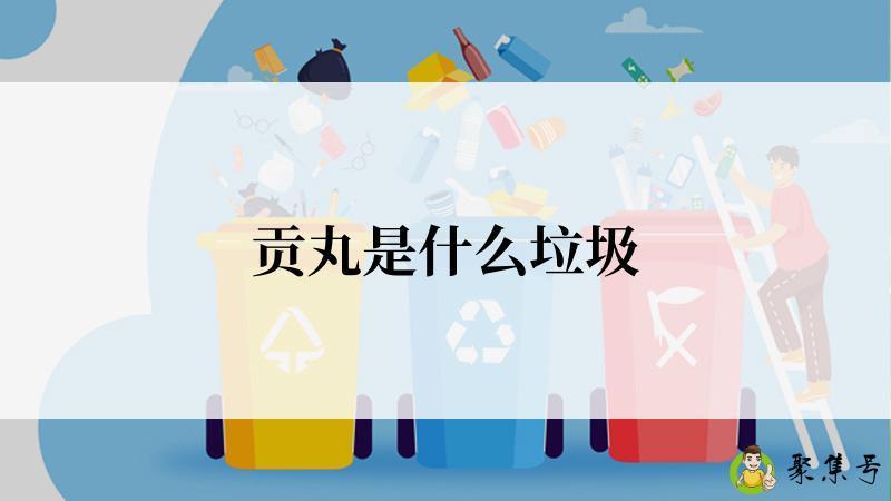 详细阅读:贡丸是什么垃圾 贡丸是什么垃圾