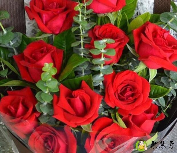 详细阅读:送花11朵代表什么意思 送花11朵代表什么意思