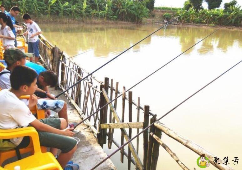 钓鱼铅坠多重合适