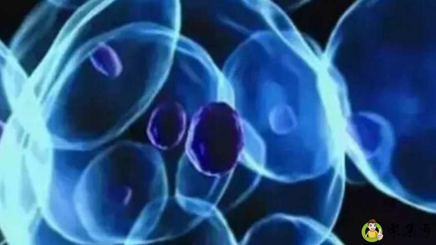 万能细胞是什么