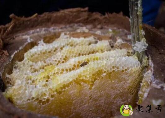 详细阅读:花嫂土蜂蜜是真的吗 花嫂土蜂蜜是真的吗