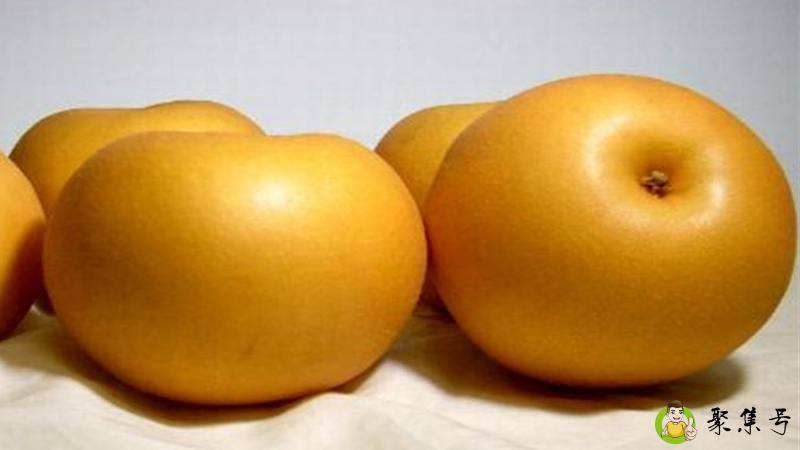 详细阅读:秋香梨和秋月梨的区别 秋香梨和秋月梨的区别