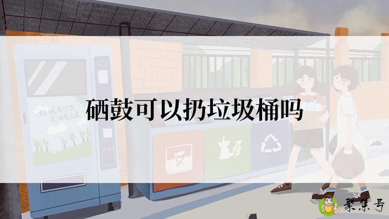 硒鼓可以扔垃圾桶吗