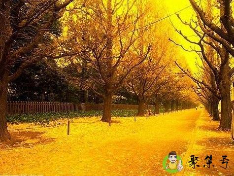 描写秋天的词语