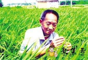 当代英雄有哪些