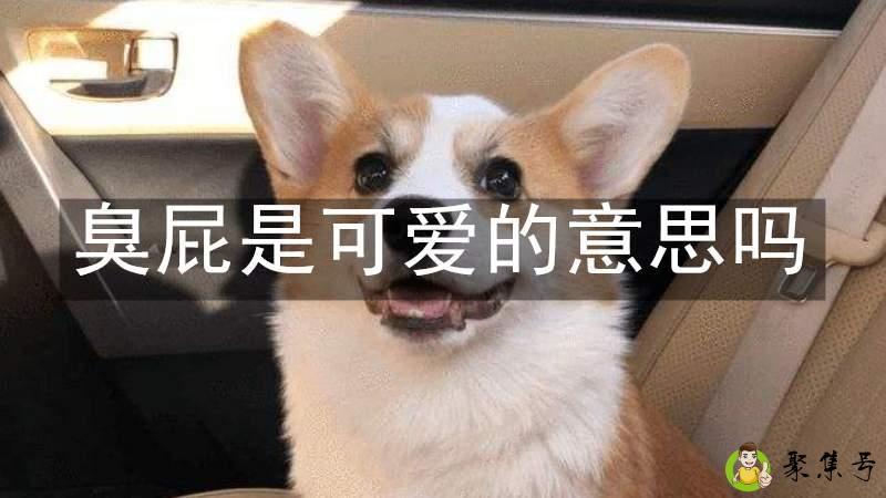 臭屁是可爱的意思吗